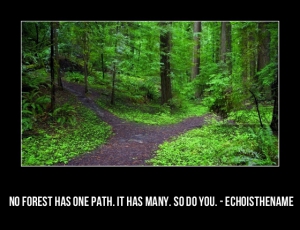 path-8